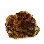 Pallasite Meteorite. 314.1 ct.