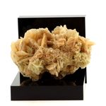 Gypse (Rose des Sables). 394.0 ct.