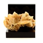 Gypse (Rose des Sables). 261.8 ct.