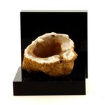 Calcédoine. 168.9 ct.