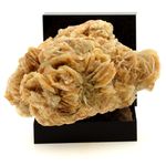 Gypse (Rose des Sables). 1245.1 ct.