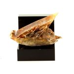 Gypse (Fer de Lance). 59.7 ct.