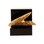 Gypse (Fer de Lance). 16.9 ct.