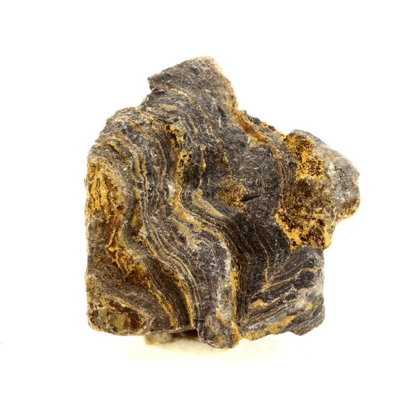 Stromatolite. 86.5 ct.