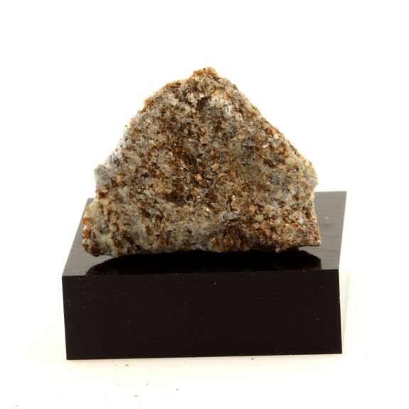Granodiorite. 41.5 ct.
