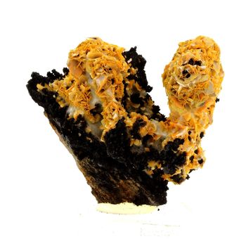 Wulfenite. 1095.1 ct.