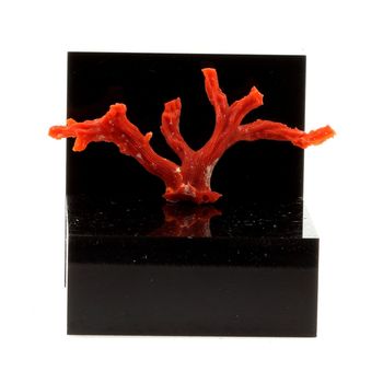 Corail rouge. 12.2 ct.