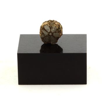 Muscovite (Var: Sericite). 1.36 ct.