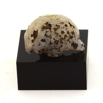 Lussatite (Opal-CT). 13.44 ct.