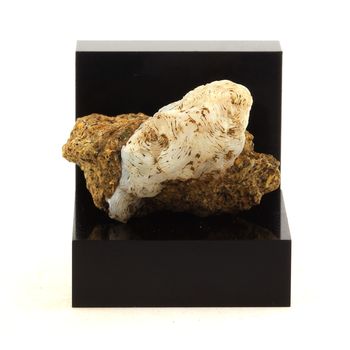 Lussatite (Opale-CT). 130.22 ct.