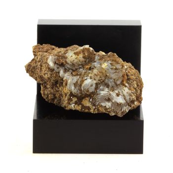 Lussatite (Opale-CT). 127.78 ct.