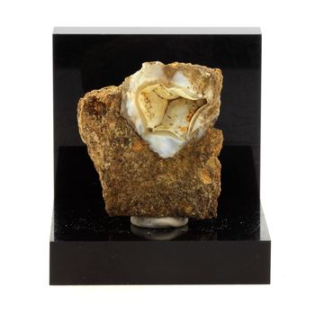 Lussatite (Opale-CT). 268.36 ct.