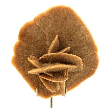 Gypse (Rose des Sables). 509.9 ct.