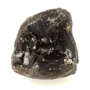 Septaria. 637.0 ct.