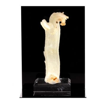 Gypse. 511.5 ct.