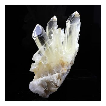 Quartz Sceptre. 555.0 ct.