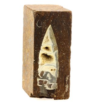 Bélémnite (Belemnoidea) dans minerai. 1625.5 ct.