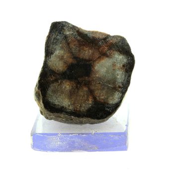 Andalousite (Chiastolite).