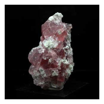 Fluorite rose. 117.0 ct.