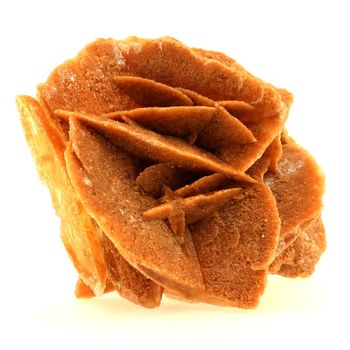 Gypse (Rose des Sables). 780.0 ct.