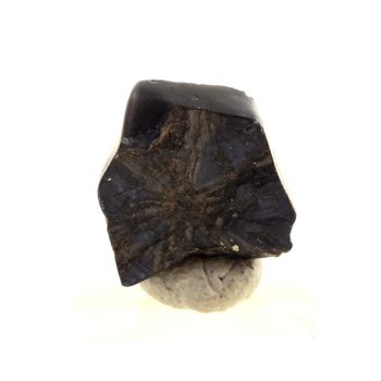Saphir trapiche. 2.88 ct.