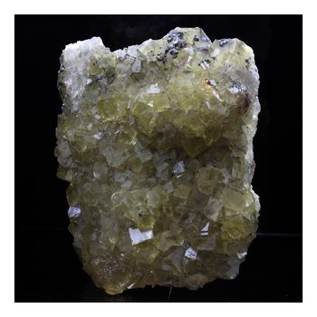 Fluorite + Pyrite. 1181.0 ct.