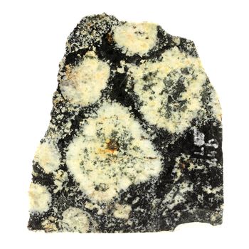 Orbicular Diorite.
