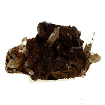 Siderite + Quartz. 1594.0 ct.