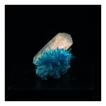 Cavansite + Stilbite