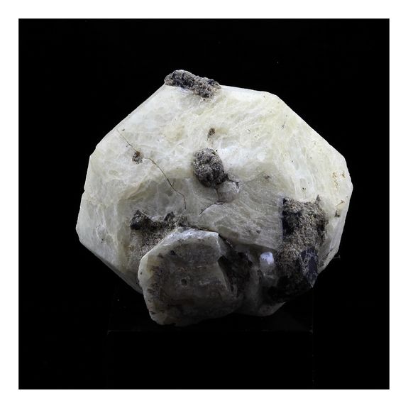 Leucite. 72.0 ct. Ariccia, Rome, Italy