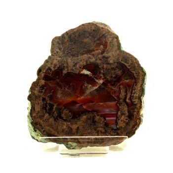 Lithophyse. 1742.0 ct.