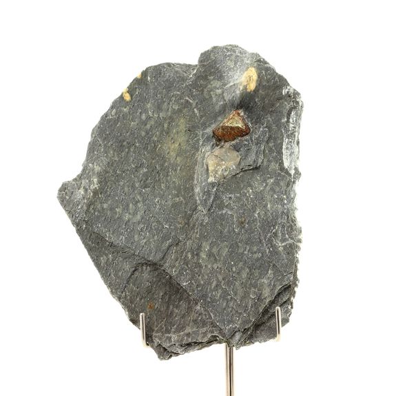 Pyrite + Slate. 483.0 ct. Saint-Creac, Hautes-Pyrenees, France