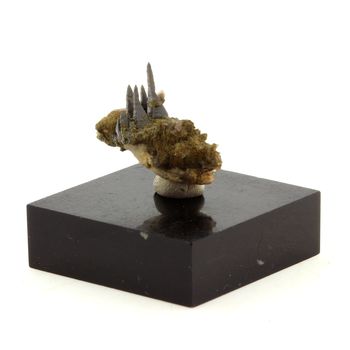 Anatase (11mm) + Quartz. 18.0 ct.
