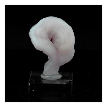 Calcédoine. 35.0 ct.