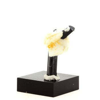 Tourmaline Schorl. 31.5 ct.