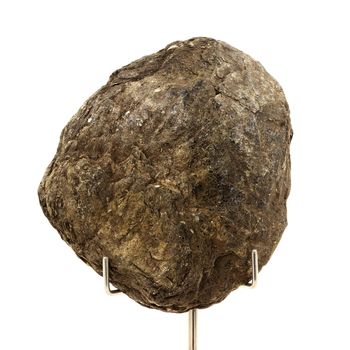 Biotite. 791.0 ct.