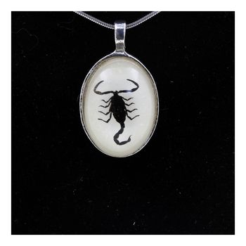 Collier Scorpion Authentique.