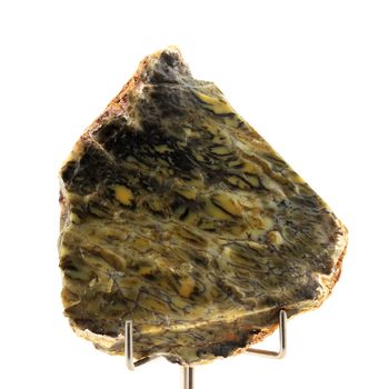 Opale dendritique. 404.45 ct.