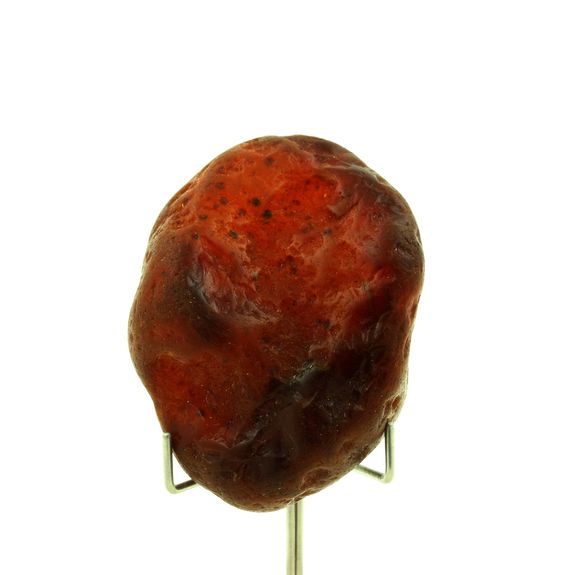 Cornaline. 602.0 ct.