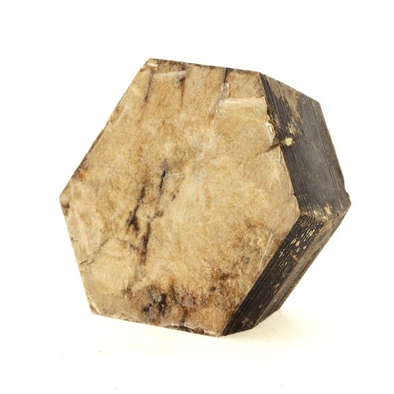 Phlogopite. 1796.5 ct.