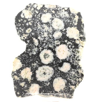 Diorite Orbiculaire. 2162.20 ct.