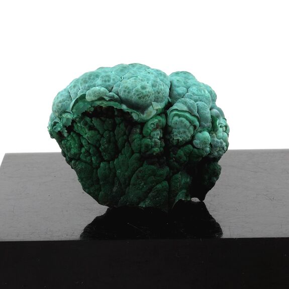 Malachite. 578.75 ct.