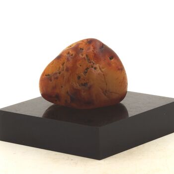 Cornaline. 616.5 ct.