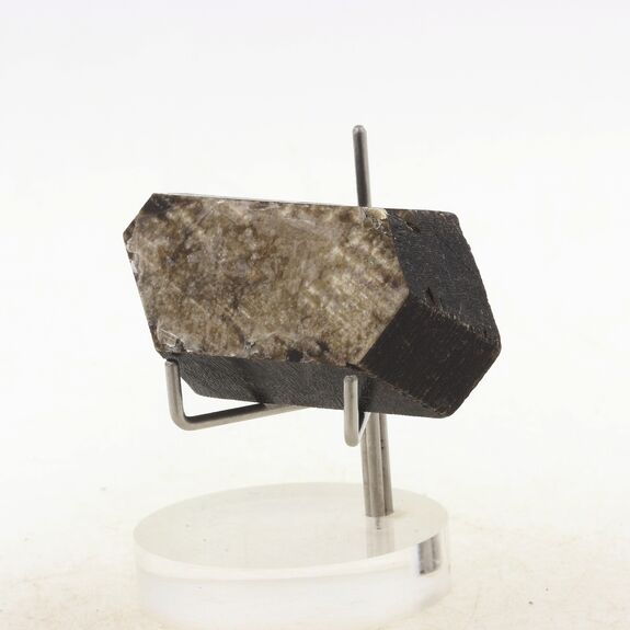 Phlogopite. 124.5 ct.