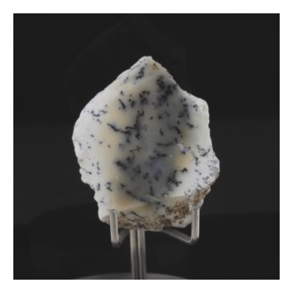 Opale dendrite. 39.0 ct.