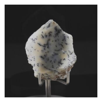 Opale dendrite. 39.0 ct.