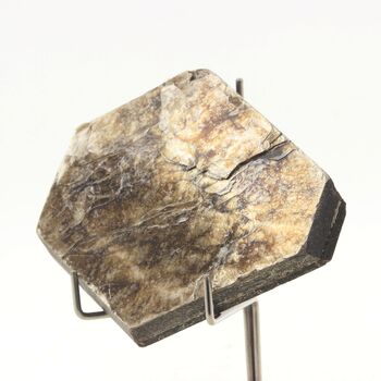 Phlogopite. 319 ct.