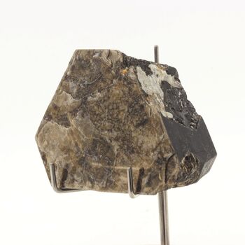 Phlogopite. 694 ct.