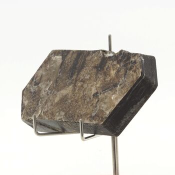 Phlogopite. 422 ct.