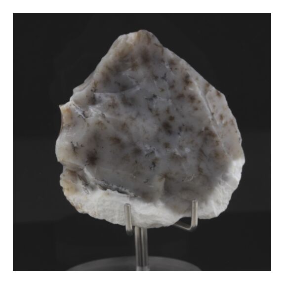 Opale dendrite. 195.0 ct.